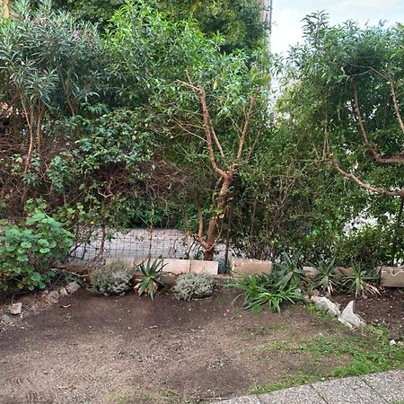 Appartamento Con Giardino A 50 M Dal Mare LʼÎle-Rousse Exteriér fotografie