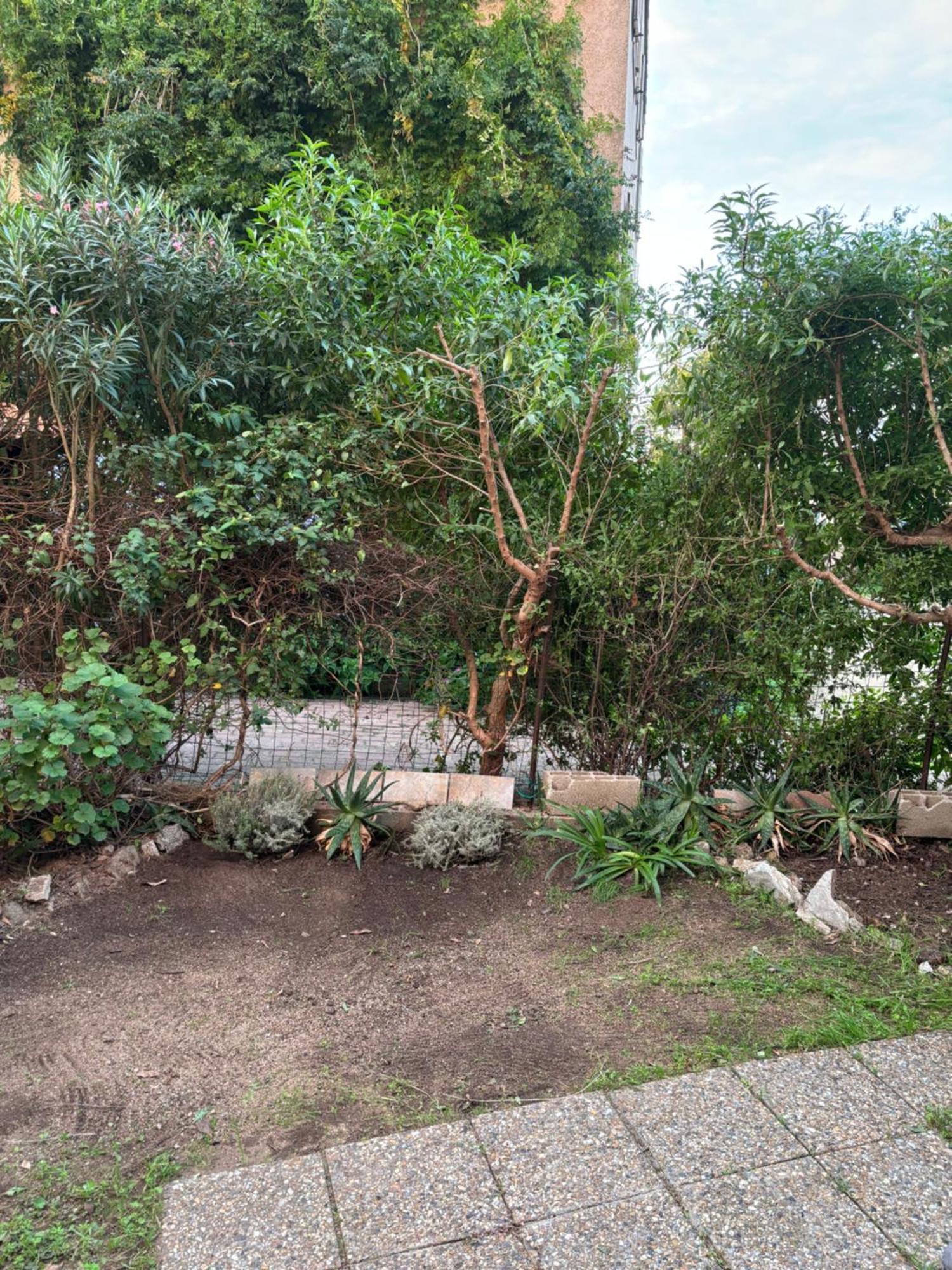 Appartamento Con Giardino A 50 M Dal Mare LʼÎle-Rousse Exteriér fotografie